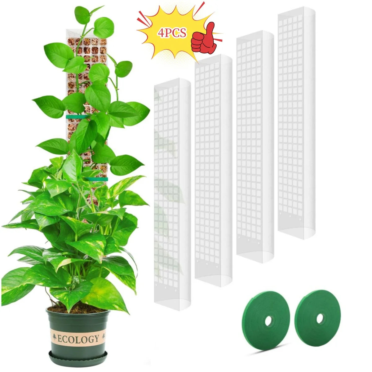 ClimbPro™ – Support de Plantes Grimpantes